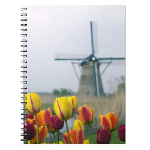 Windmills and tulips along the canal in notebook