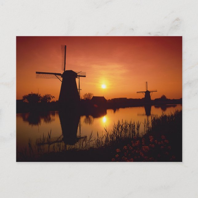 Windmills at sunset, Kinderdijk, Netherlands Postcard (Front)