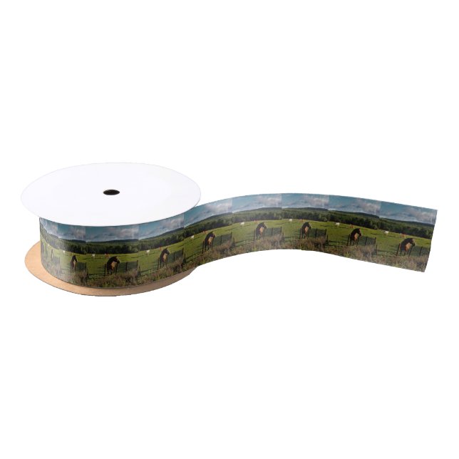 Windmills in the Distance Satin Ribbon (Spool)