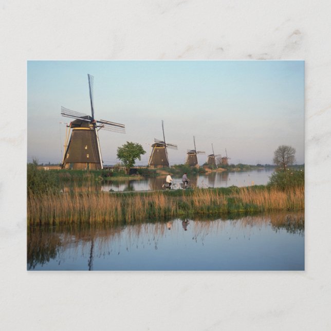 Windmills, Kinderdijk, Netherlands Postcard (Front)