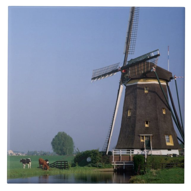Windmills, Leidschendam, Netherlands Tile (Front)