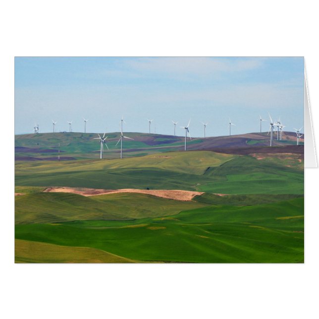 Windmills on the Palouse Hills from Steptoe Butte (Front Horizontal)