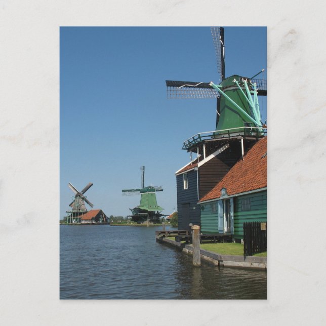 Windmills Zaanse Schans in Holland Postcard (Front)