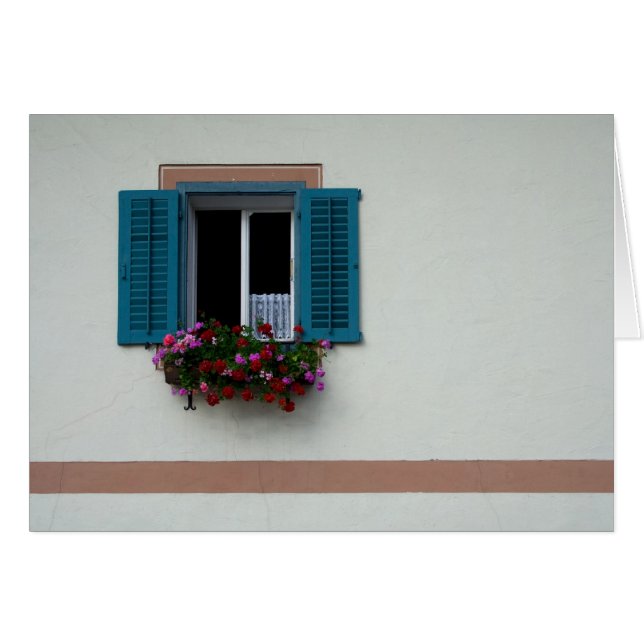 Window (Front Horizontal)