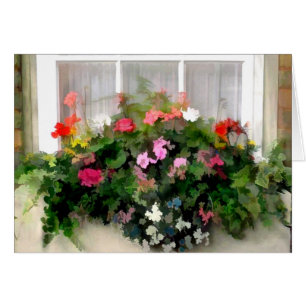 Window Box Flowers