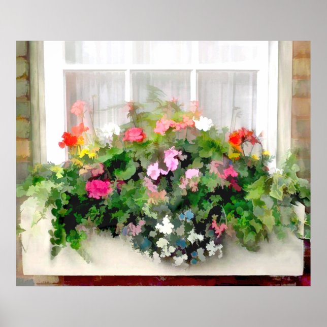 Window Box of Colourful, Cascading Mixed Flowers Poster (Front)