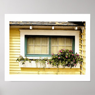 window Box With Flowers Art Print