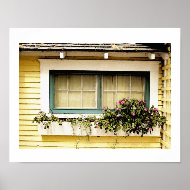 window Box With Flowers Art Print (Front)
