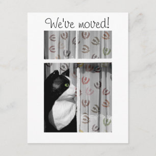 Window Cat New Home Announcement Card