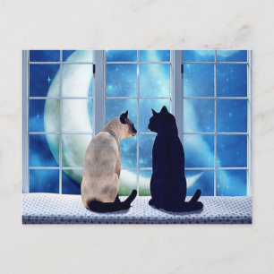 Window Cats Postcard