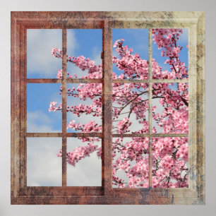 Window Cherry Blossom Tree Poster