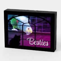 Window Cill Cat And Parrot Besties