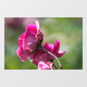 Window Cling - Rose - Magenta Grace