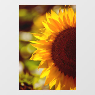 Window Cling - Sunflower In The Field Photography
