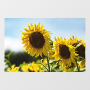Window Cling - Sunflowers Summer Radiance
