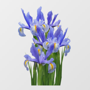 Window Decal 2 - Front Cling - choose size