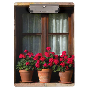 Window flower pots in village clipboard