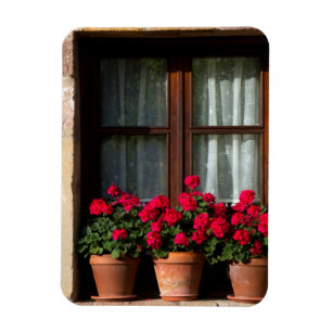 Window flower pots in village magnet