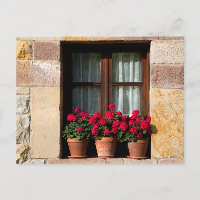 Window flower pots in village postcard (Front)