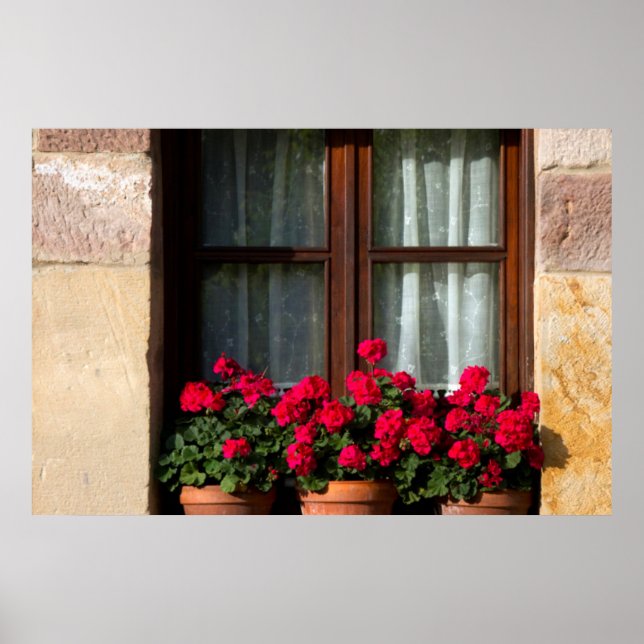 Window flower pots in village poster (Front)