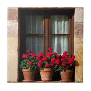 Window flower pots in village tile