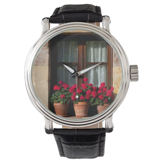 Window flower pots in village watch (Front)