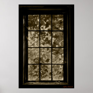Window Ivy Sepia, Jeffrey Sinnock Poster