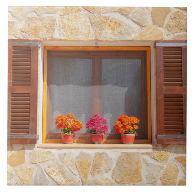 Window of a spanish Finca Tile (Front)
