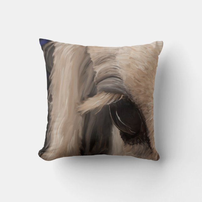 Window of the soul throw pillow (Front)