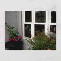 Window/ Postcard