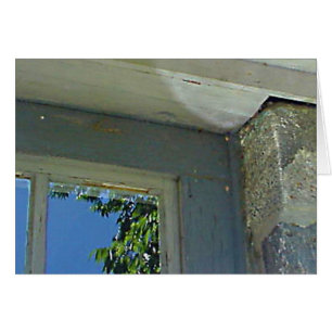 Window reflection card