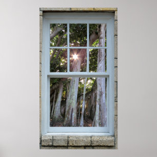 Window view Banyan tree Starburst Print