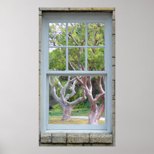 Window View Frame curvy tree trunks Poster