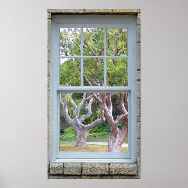 Window View Frame curvy tree trunks Poster (Front)