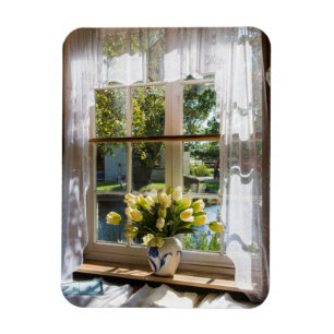 Window with lace curtain and tulips magnet