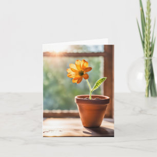 Window With Orange Daisy Note Card