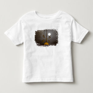 Windrose atop the Lighthouse on Cerro Santa Toddler T-shirt