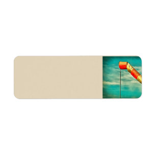 Windsock
