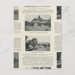 Windsor, California Postcard