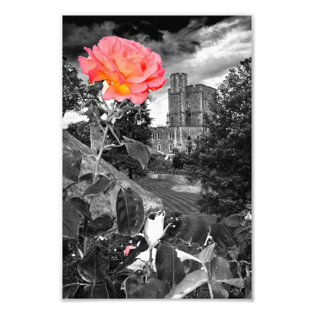 Windsor Castle Berkshire England UK Photo Print (Front)