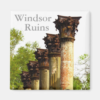 Windsor Ruins Mississippi refrigerator magnet