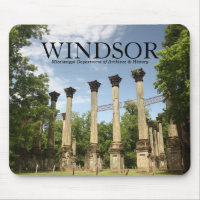 Windsor Ruins ~ MS Dept of Archives & History