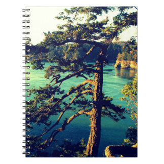 Windswept Seaside Trees Notebook ~ Deception Pass