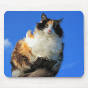Windy up here mouse pad