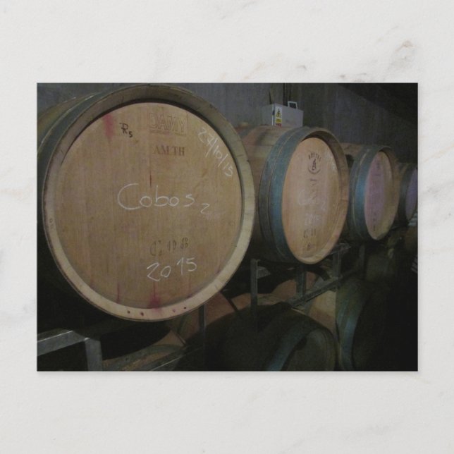 wine barrels red postcard (Front)