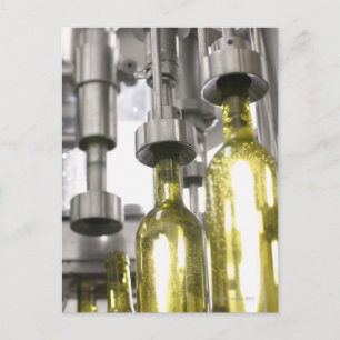 wine bottles being filled with wine at factory postcard