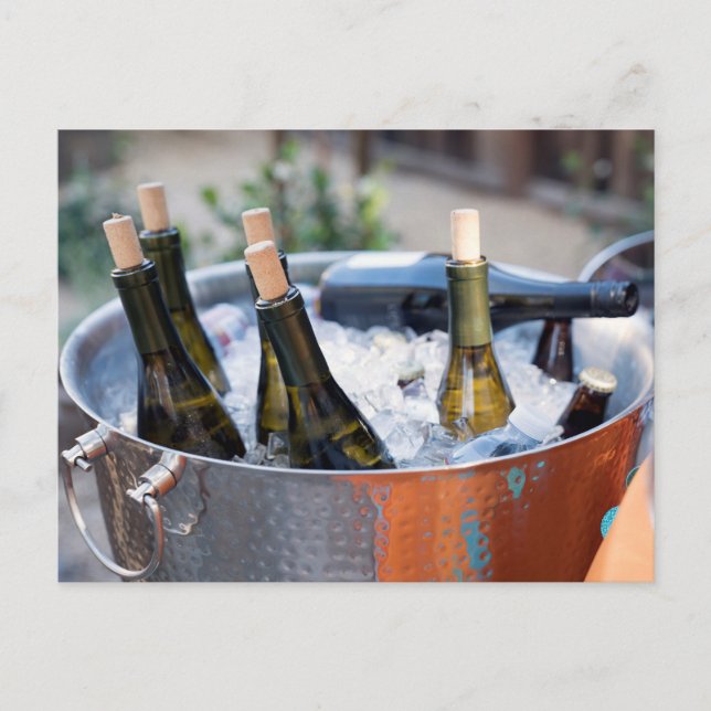 Wine Bottles on Ice Postcard (Front)