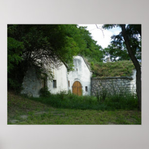Wine Cellars Poster