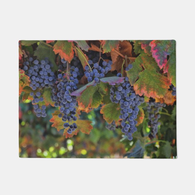 Wine Country Door Mat (Front)