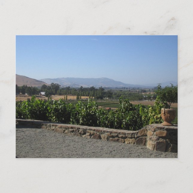 Wine Country Postcard (Front)